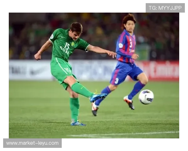 塞尔维亚国家队头号射手：弗拉霍维奇的国家队角色