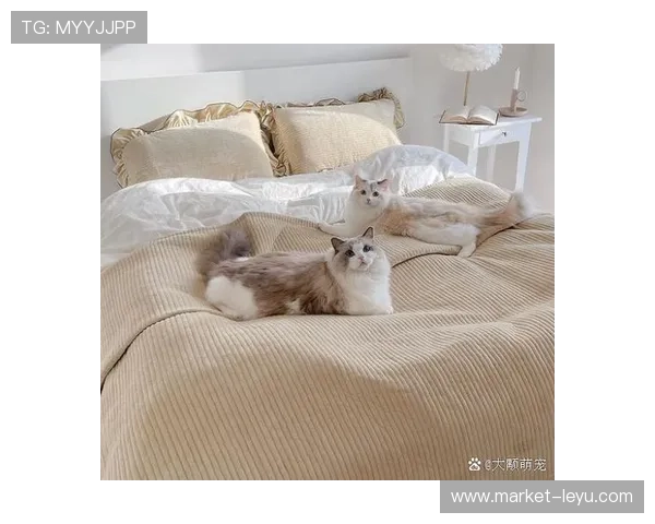 柳雅慧家里的茶几居然比我房租还贵，这生活简直跟我不是一个星球的样子