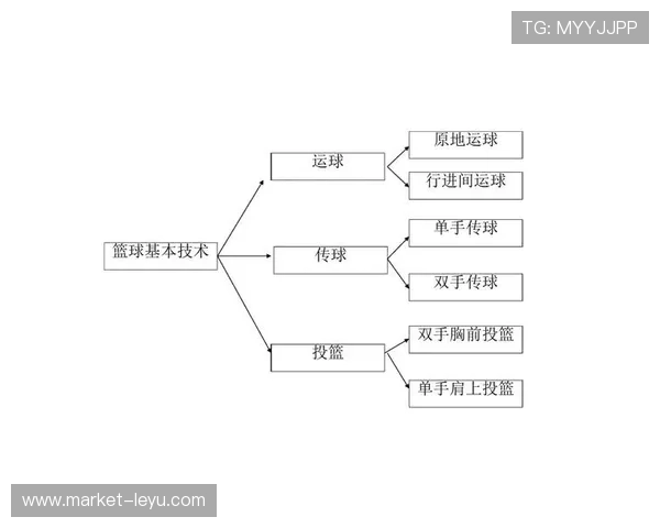 运球规则到底如何执行？解析其违例认定与实际应用